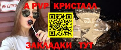 ешки Кингисепп