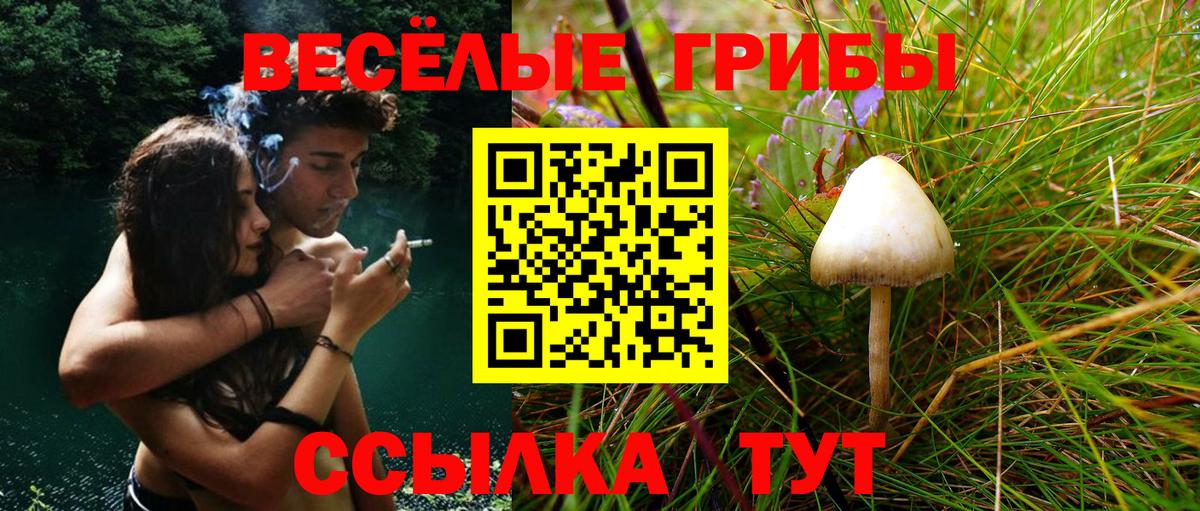 Галлюциногенные грибы ЛСД Краснодар