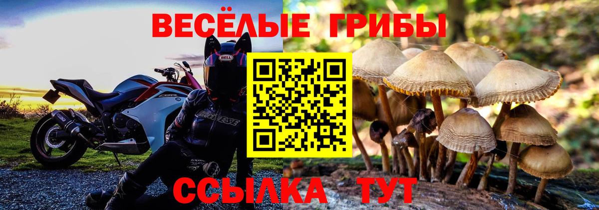 Краснодар  Псилоцибиновые грибы Magic Shrooms  хочу наркоту  Вход с VPN 